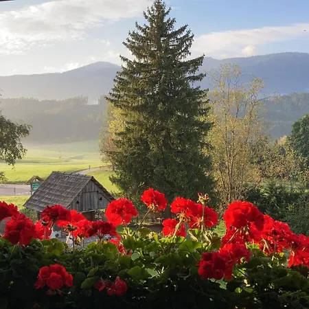 Garni Doerflerwirt * Aflenz Kurort