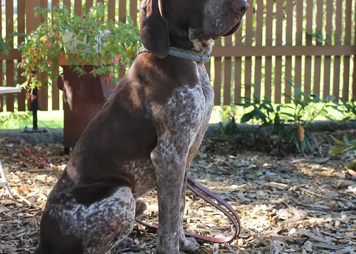 Apartament Garni Doerflerwirt Aflenz Kurort